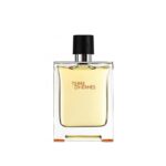 Hermes Terre D Hermes EDT 100 ml (Tester)