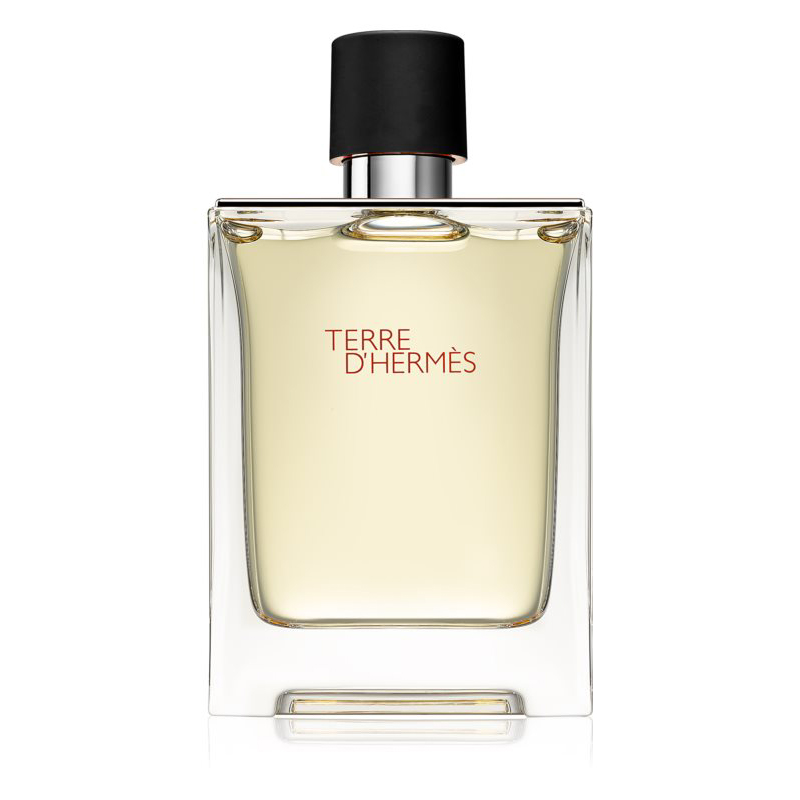 Hermes Terre D Hermes EDT 100ml